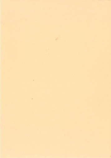 Picture of A3 KARTONCIN - PEACH 240GSM